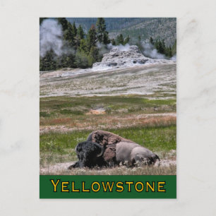 Briefkaart: Upper Geyser Basin Sentinel Briefkaart