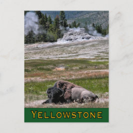 Briefkaart: Upper Geyser Basin Sentinel Briefkaart