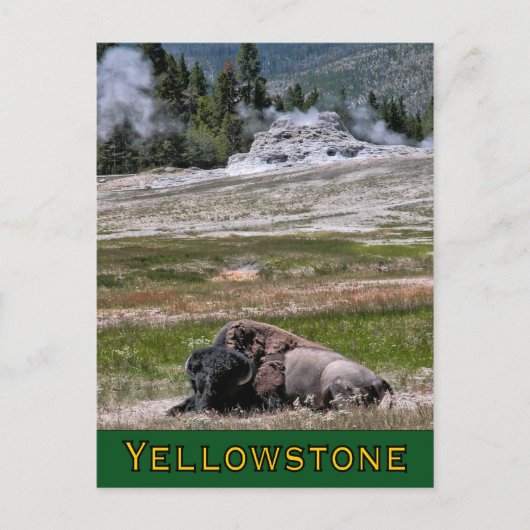 Briefkaart: Upper Geyser Basin Sentinel Briefkaart (Voorkant)