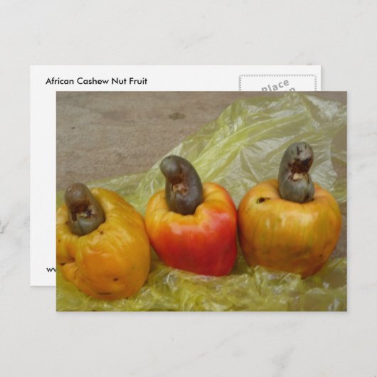 Briefkaart van Afrikaanse Cashew Nut Fruit (Voorkant / Achterkant)