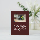 Briefkaart van Afrikaanse Gray en Caïro Coffee Fri (Staand voorkant)