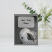 Briefkaart van Afrikaanse grijze papegaaien (Staand voorkant)