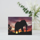 Briefkaart van Afrikaanse olifanten (Staand voorkant)