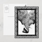 Briefkaart van Afrikaanse olifanten (Voorkant / Achterkant)