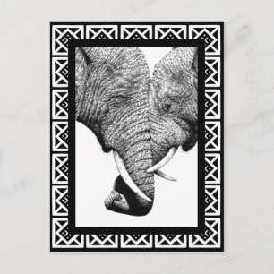 Briefkaart van Afrikaanse olifanten