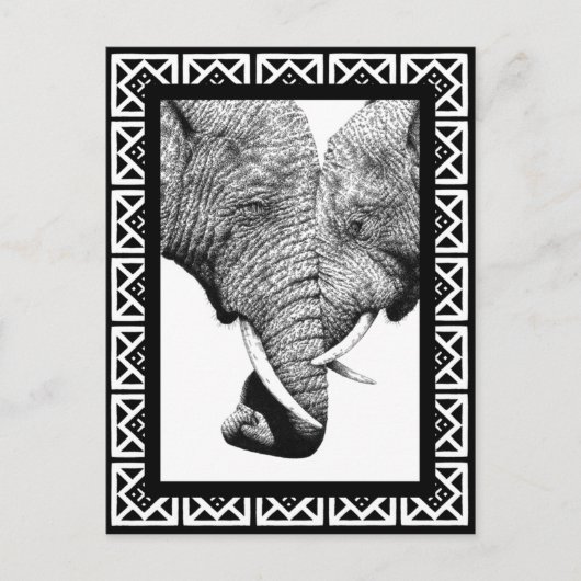 Briefkaart van Afrikaanse olifanten (Voorkant)