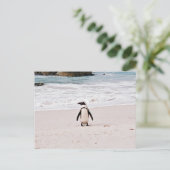 Briefkaart van Afrikaanse pinguïn (Staand voorkant)