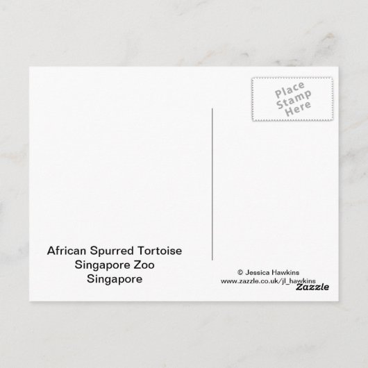 Briefkaart van Afrikaanse rode tortoise (Achterkant)