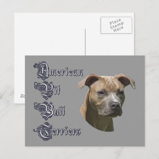 Briefkaart van American Pit Bull Terrier (APBT) (Voorkant / Achterkant)