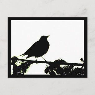 Briefkaart van American Robin Silhouette