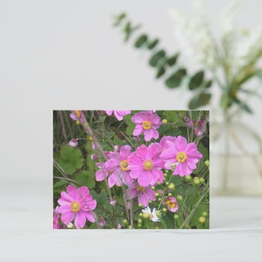 Briefkaart van Anemones (Staand voorkant)