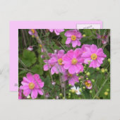 Briefkaart van Anemones (Voorkant / Achterkant)