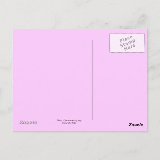 Briefkaart van Anemones (Achterkant)