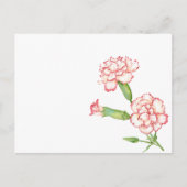 Briefkaart van anjers (Voorkant)