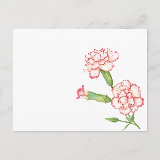 Briefkaart van anjers (Voorkant)