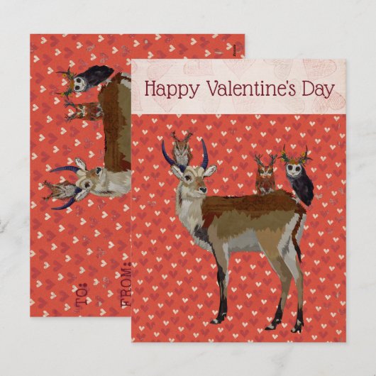 BRIEFKAART VAN ANTELOPE & ANTLER OWLS VALENTIJNS (Voorkant / Achterkant)