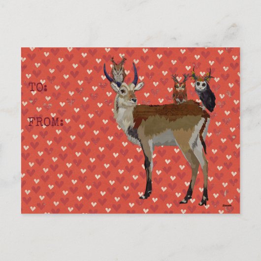 BRIEFKAART VAN ANTELOPE & ANTLER OWLS VALENTIJNS (Achterkant)