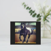 Briefkaart van Appaloosa Horse (Staand voorkant)