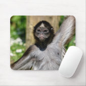 Briefkaart van appelmoeren, van verschillend gesne muismat (Met muis)