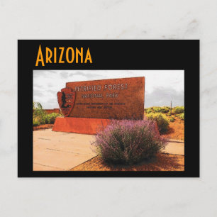 Briefkaart van Arizona (Petrified Forest)