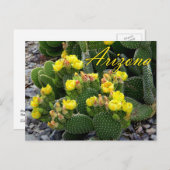 Briefkaart van Arizona, Prickly Pear Cactus (Voorkant / Achterkant)