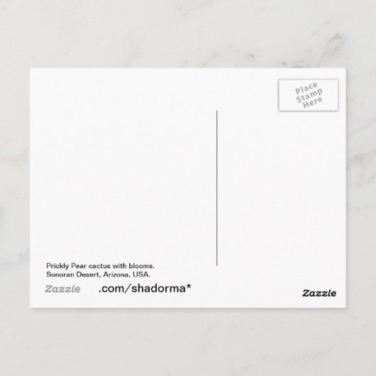 Briefkaart van Arizona, Prickly Pear Cactus (Achterkant)