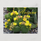 Briefkaart van Arizona, Prickly Pear Cactus (Voorkant)