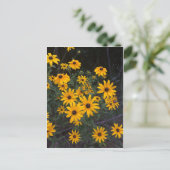Briefkaart van Arkansas Wildflower Black-Eyed Susa (Staand voorkant)