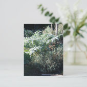 Briefkaart van Artichoke en Lavender (Staand voorkant)