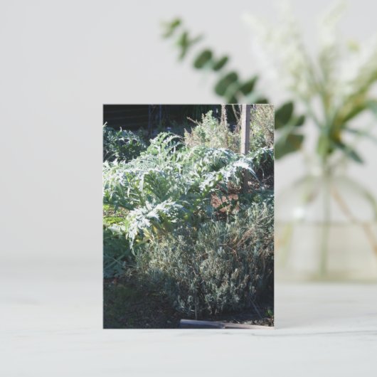 Briefkaart van Artichoke en Lavender (Staand voorkant)