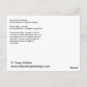 Briefkaart van Artichoke en Lavender (Achterkant)