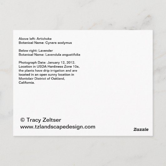 Briefkaart van Artichoke en Lavender (Achterkant)