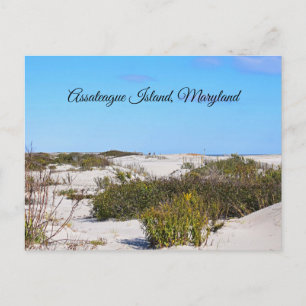Briefkaart van Assateague