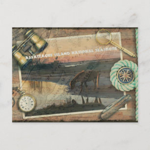 Briefkaart van Assateague/Chincoteague