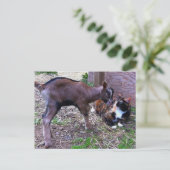 Briefkaart van baby (Staand voorkant)