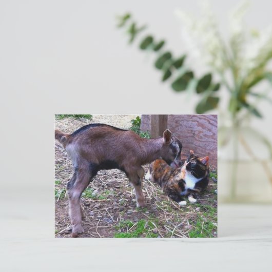 Briefkaart van baby (Staand voorkant)