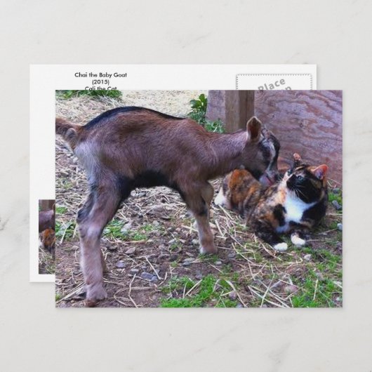 Briefkaart van baby (Voorkant / Achterkant)