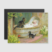 briefkaart van baby, katten en katten (Voorkant / Achterkant)