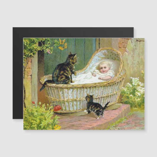 briefkaart van baby, katten en katten (Voorkant / Achterkant)
