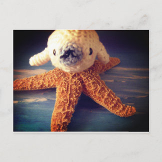 briefkaart van baby-zeehonden