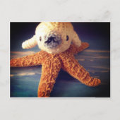 briefkaart van baby-zeehonden (Voorkant)