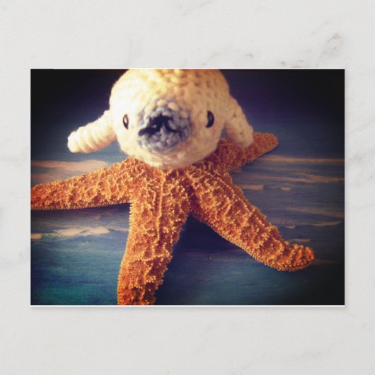 briefkaart van baby-zeehonden (Voorkant)