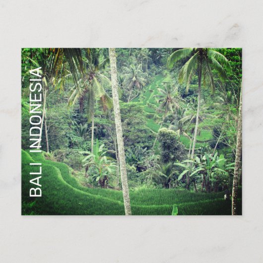 Briefkaart van Bali-Indonesië (Voorkant)