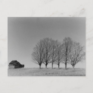 Briefkaart van Barn en bomen