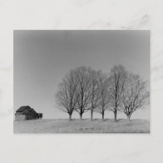 Briefkaart van Barn en bomen