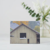 Briefkaart van Barn Kat (Staand voorkant)