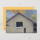 Briefkaart van Barn Kat (Voorkant / Achterkant)