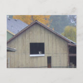 Briefkaart van Barn Kat (Voorkant)