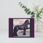 Briefkaart van barokpaarden, (Staand voorkant)