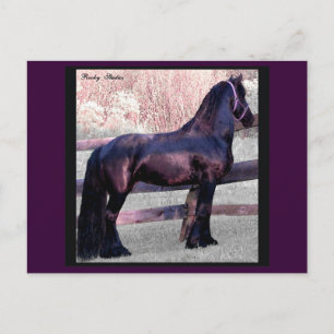 Briefkaart van barokpaarden,